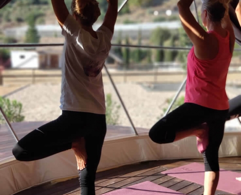 Yoga in the Dome image